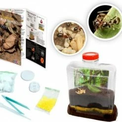 AUS GEO ANT CITY -BRIO SHOP image 0db4e5df be18 4d19 b13b 1e545191c683 1024x1024@2x