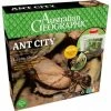 AUS GEO ANT CITY -BRIO SHOP image 288e0d73 9e6d 430d 8dc4 a7001a4e61f0 1024x1024@2x